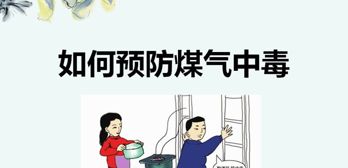 《如何预防煤气中毒》PPT