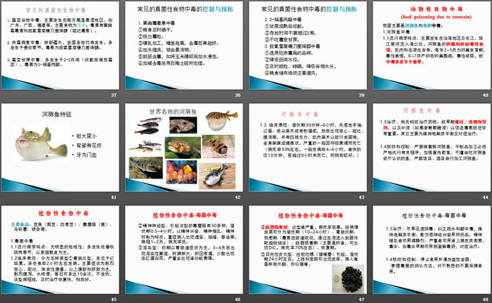 《防食物中毒主题班会》PPT