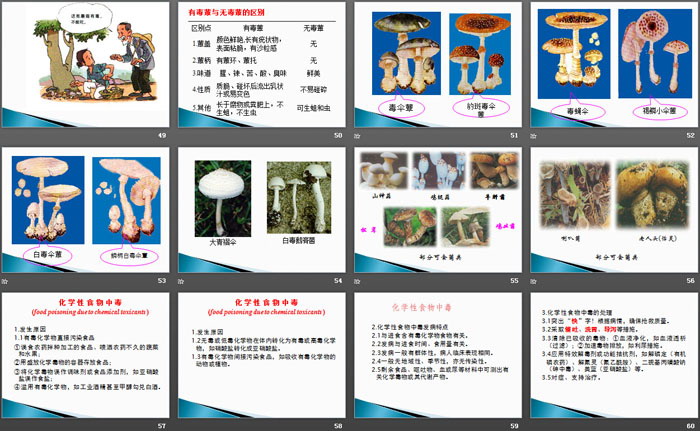 《防食物中毒主题班会》PPT