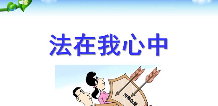 《法在我心中》PPT