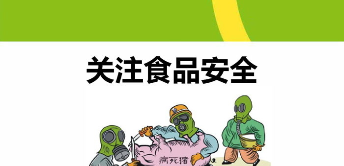《关注食品安全》PPT