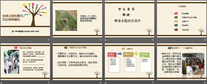 《生命之树如夏花，本应绚丽多彩》PPT