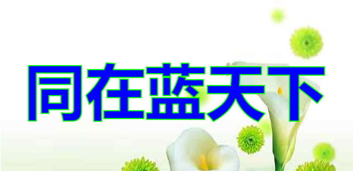《同在蓝天下》PPT