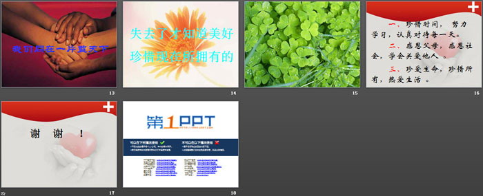 《同在蓝天下》PPT