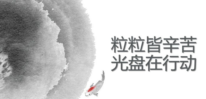 《粒粒皆辛苦 光盘在行动》PPT