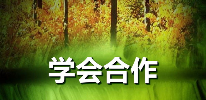 《学会合作》PPT下载