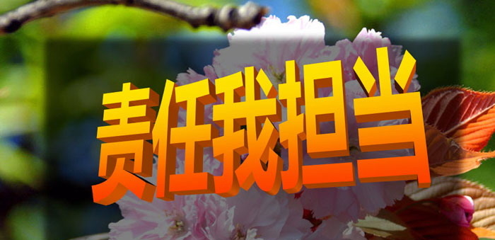 《责任我担当》PPT