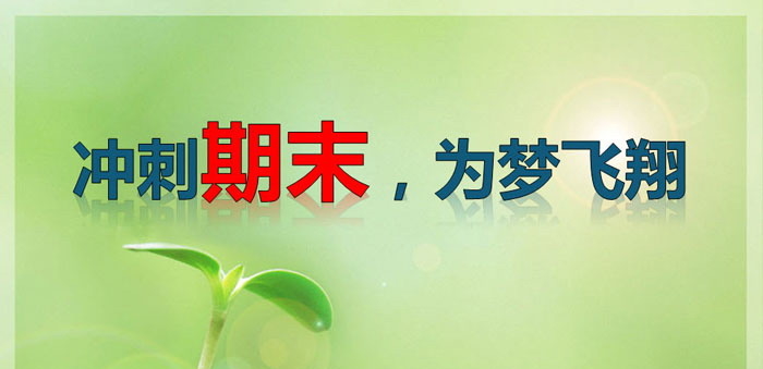 《冲刺期末，为梦飞翔》PPT