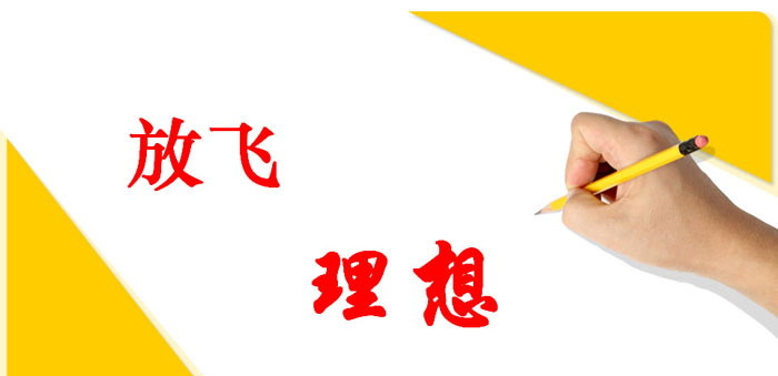 《放飞理想》PPT