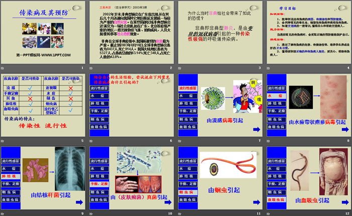 《传染病及其预防》PPT下载