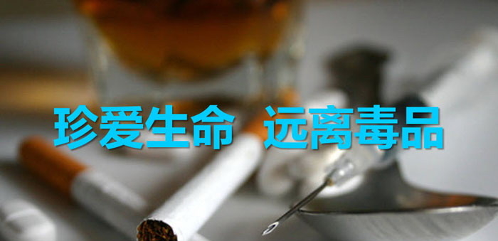 《珍爱生命 远离毒品》PPT免费下载