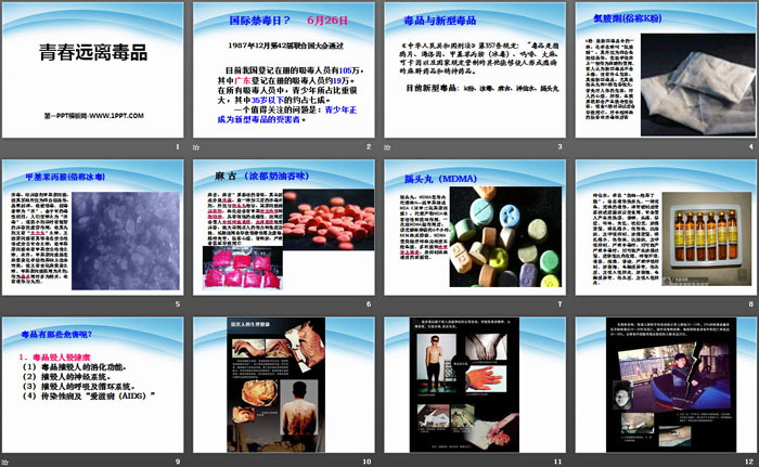 《青春远离毒品》PPT