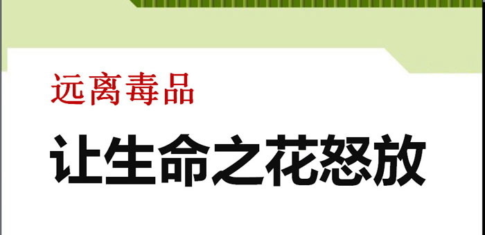 《远离毒品 让生命之花怒放》PPT