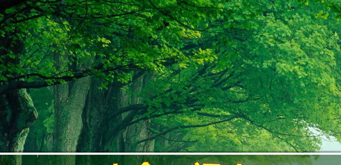 《珍爱生命，远离毒品》PPT下载