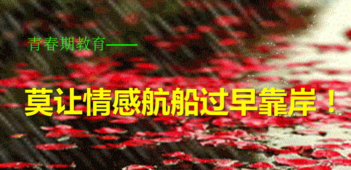 《莫让情感航船过早靠岸！》PPT