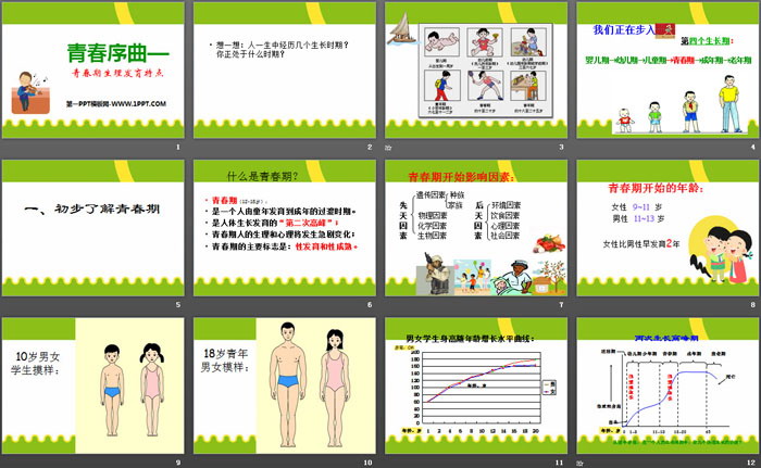 《青春序曲—青春期生理发育特点》PPT
