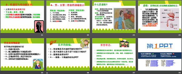《青春序曲—青春期生理发育特点》PPT