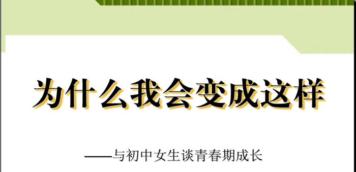 《为什么我会变成这样》PPT