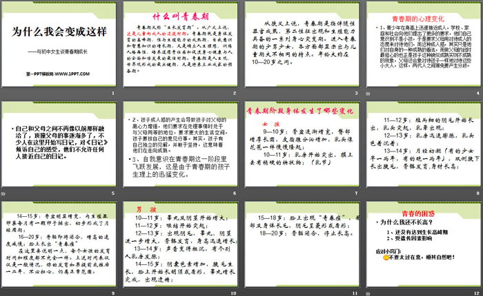 《为什么我会变成这样》PPT