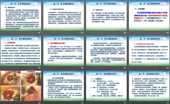 《青春期性教育知识》PPT
