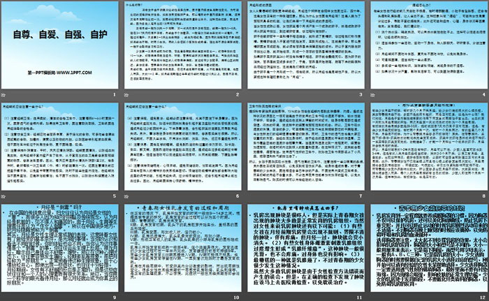 《自尊、自爱、自强、自护》PPT