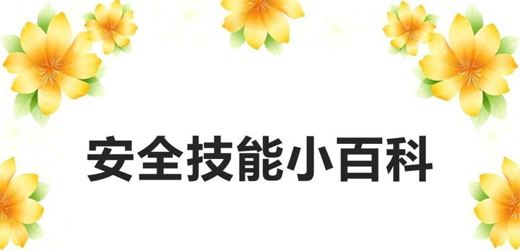 《安全技能小百科》PPT班会课件