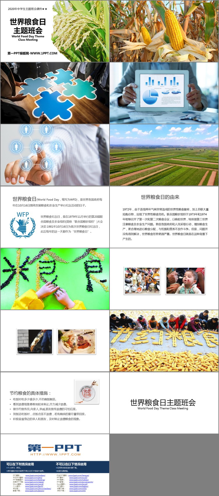 《世界粮食日主题班会》PPT班会课件