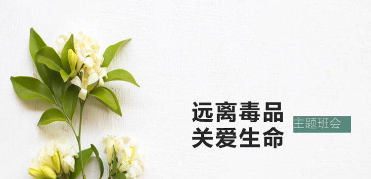 《远离毒品 关爱生命》PPT班会课件