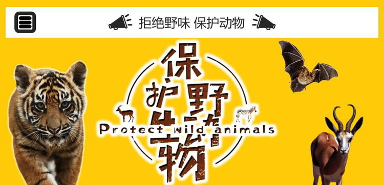 《拒绝野味 保护动物》PPT班会课件