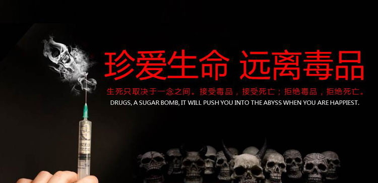 《珍爱生命 远离毒品》PPT班会课件