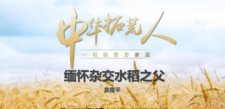 《缅怀杂交水稻之父》PPT班会课件