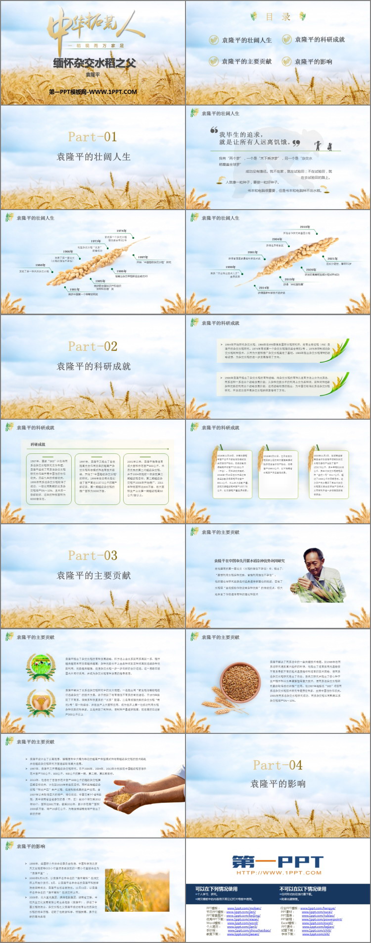 《缅怀杂交水稻之父》PPT班会课件