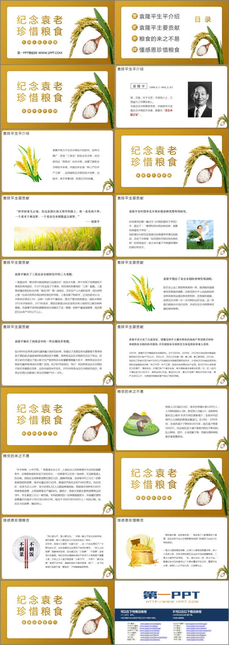 《纪念袁老 珍惜粮食》PPT班会课件