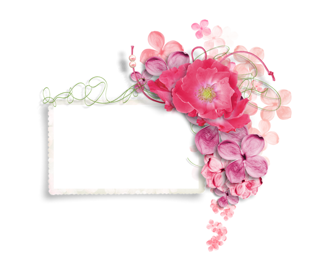 60张精美花朵花环修饰唯美相框png图片素材（下）