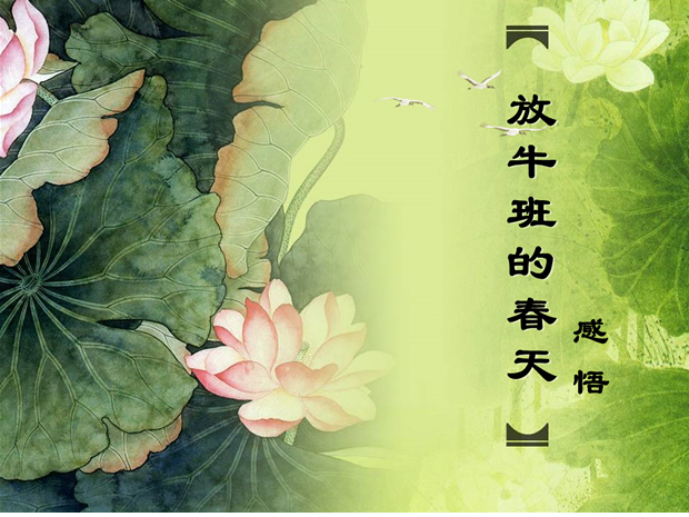 《放牛班的春天》影片感悟ppt模板