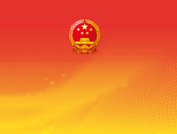 庄重大方的党政ppt模板