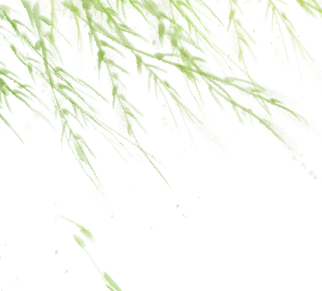 水墨风柳条