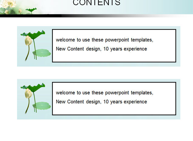 清秀雅致荷叶水墨中国风ppt模板3