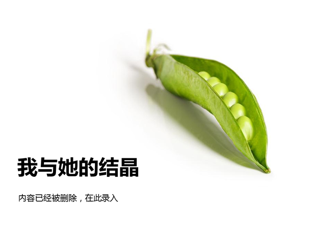 成长记录ppt模板