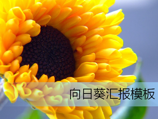 向日葵元素个人工作汇报ppt模板