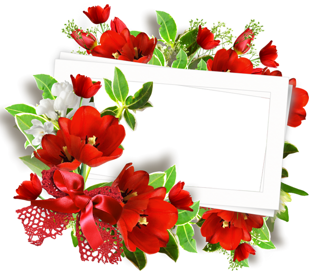 60张精美花朵花环修饰唯美相框png图片素材（上）