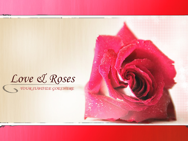 玫瑰怀旧ppt模板