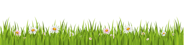 矢量卡通绿草花朵免抠图