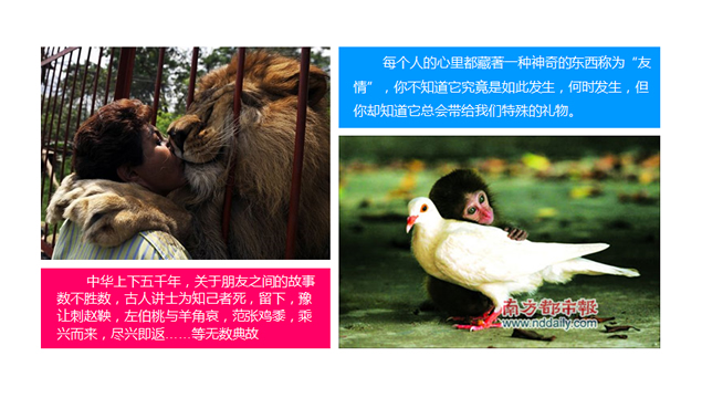 感恩主题课件ppt模板4