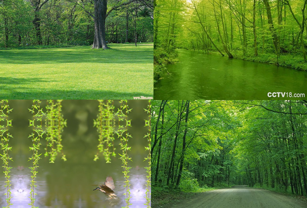 触摸春天——小学教育教学课件PPT模板3