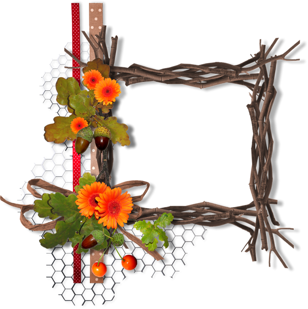 植物藤条编织的相框