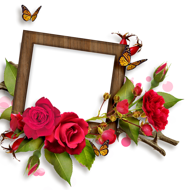 玫瑰花相框图片