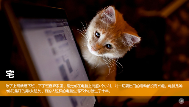 剩了该怎么办——剩女分析ppt模板