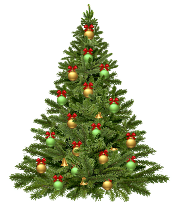 圣诞节高清png免抠图片（6张）