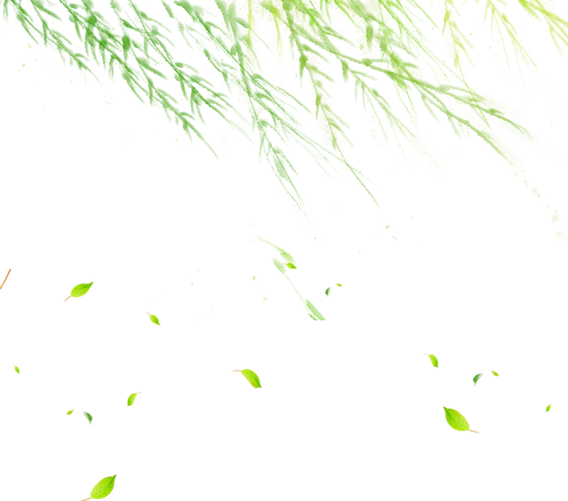 随风飘摇的柳条